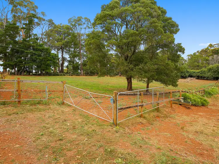 Fourth view of Homely house listing, 840 Gembrook-Launching Place Road, Hoddles Creek VIC 3139