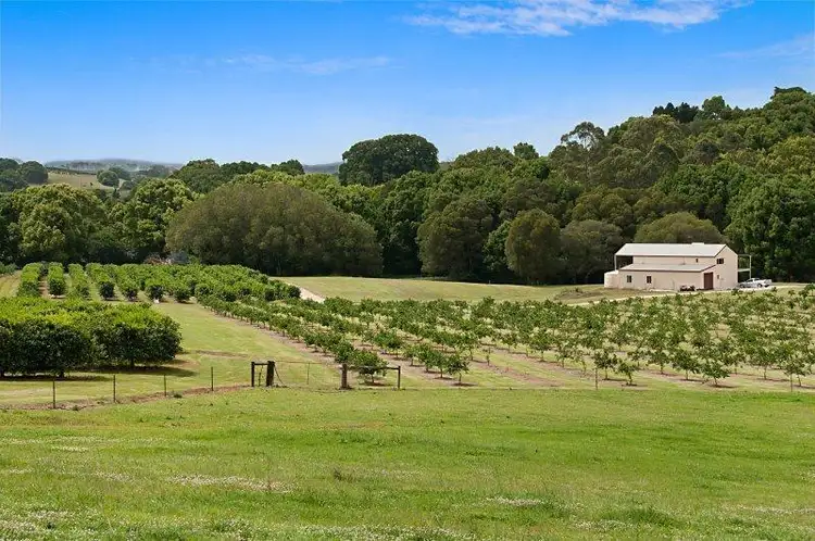 Sixth view of Homely rural property listing, 1050 Eltham Road, Pearces Creek NSW 2477