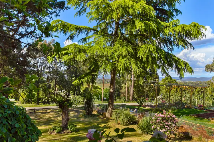 Third view of Homely house listing, 25 Station Road, Gembrook VIC 3783