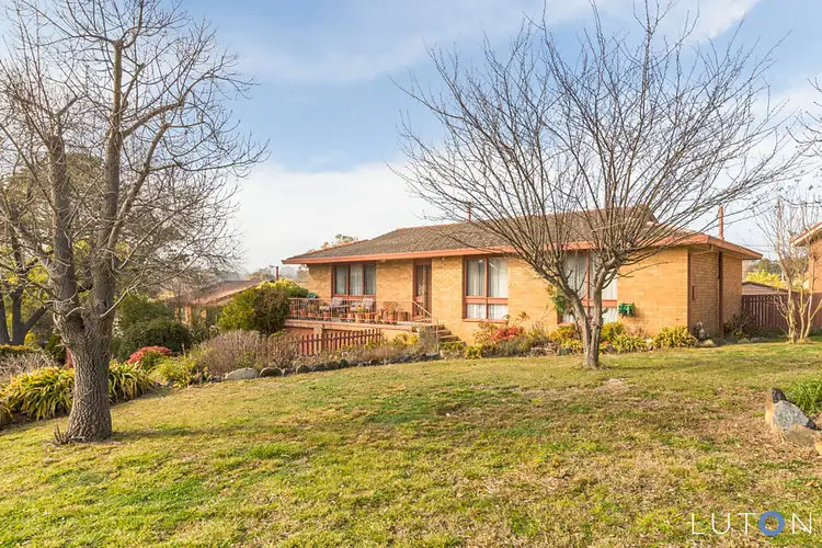 Second view of Homely house listing, 66 Armstrong Crescent, Holt ACT 2615