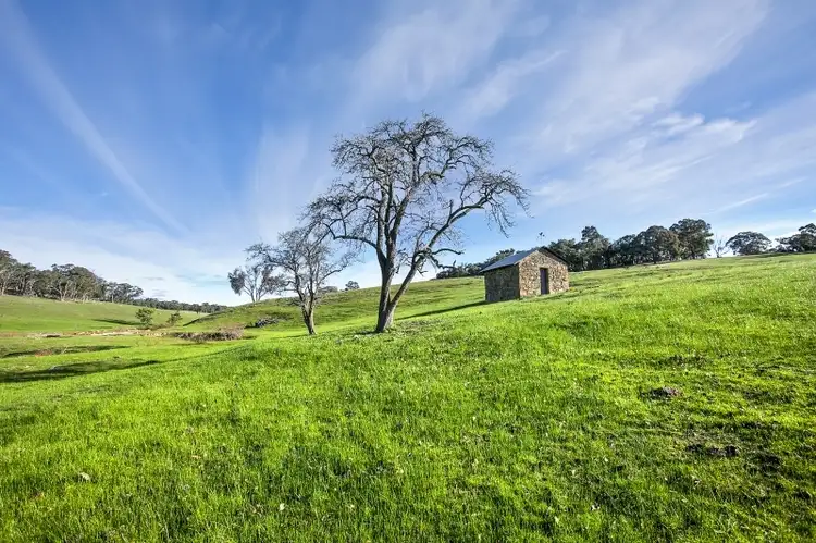 Second view of Homely land listing, 351 Yandoit-Werona Road, Yandoit VIC 3461