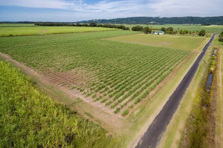 Third view of Homely rural property listing, Lot 21 Hermans Lane, Pimlico NSW 2478