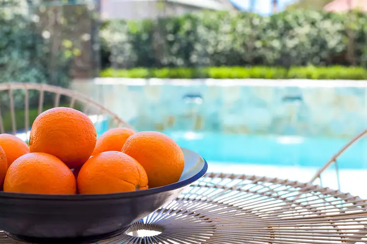 Fifth view of Homely house listing, 8 Quinton Road, Manly NSW 2095