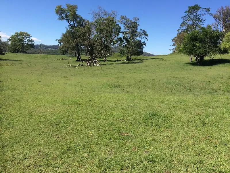 Main view of Homely land listing, 1837 Bentley Road, Bentley NSW 2480