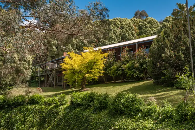 Main view of Homely house listing, 102 Kallista Emerald Road, The Patch VIC 3792