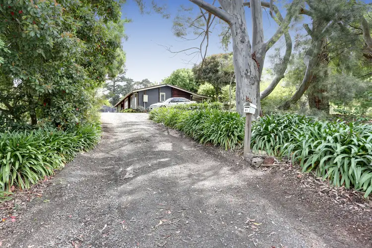 Third view of Homely house listing, 81 Walker Road, Seville VIC 3139