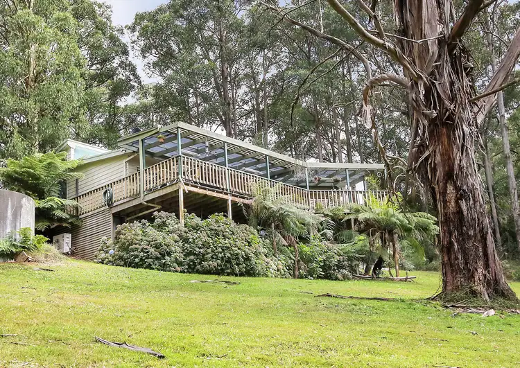 Main view of Homely house listing, 753 Myers Creek Road, Toolangi VIC 3777