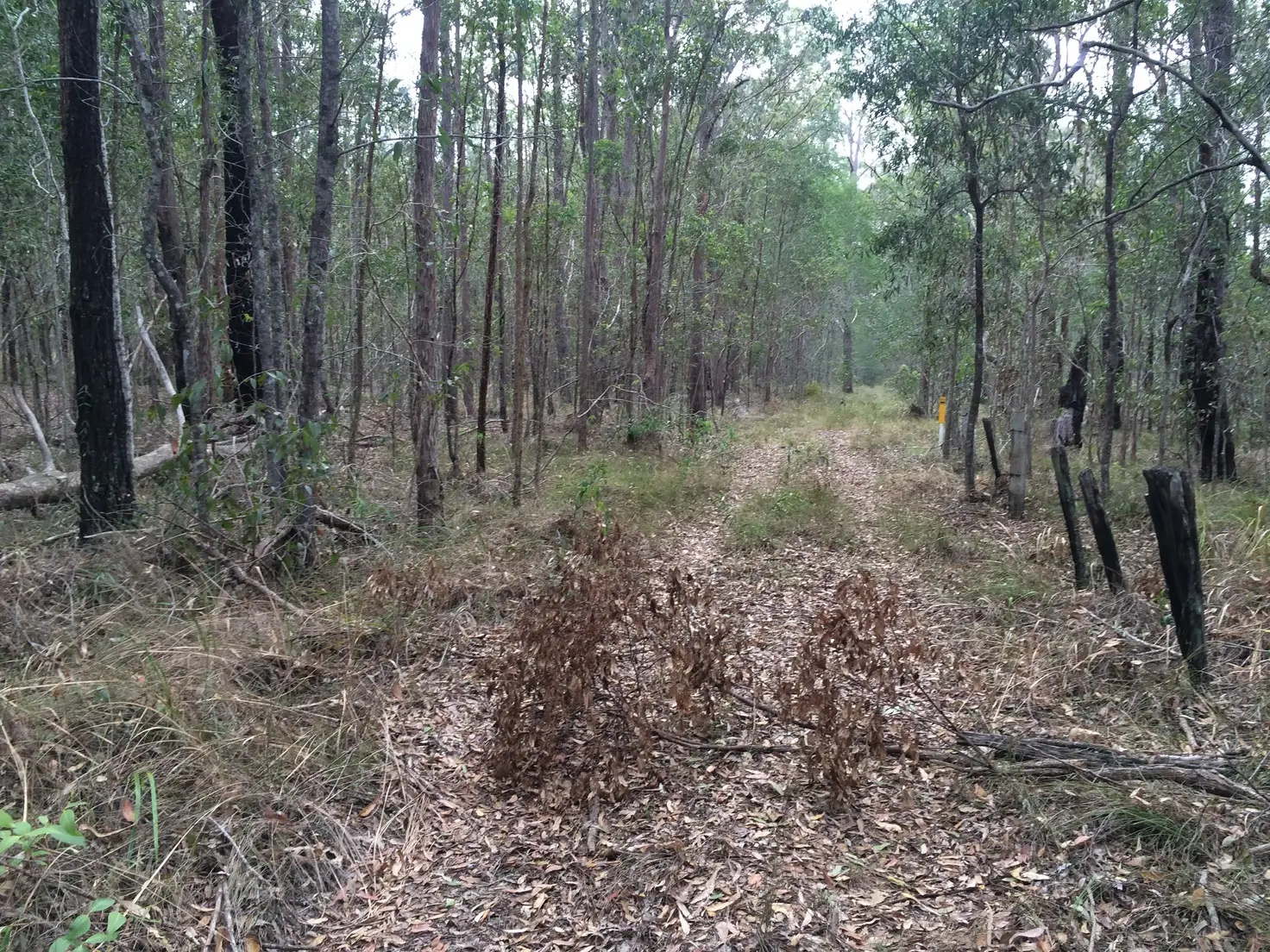 Main view of Homely rural property listing, Lot 44 Pacific Highway, New Italy NSW 2472