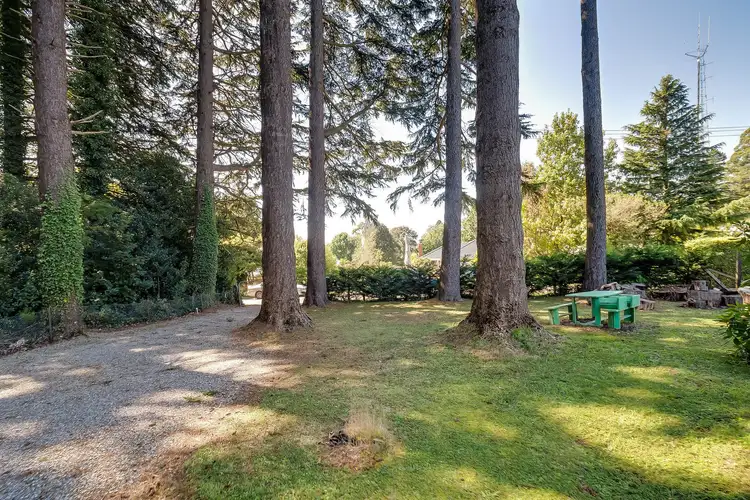 Fourth view of Homely house listing, 6 Olinda Crescent, Olinda VIC 3788