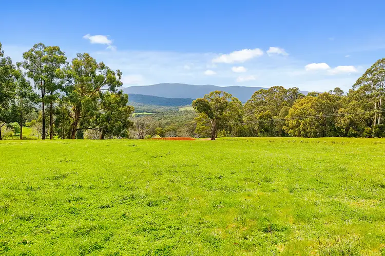 Main view of Homely land listing, 785 Gembrook-Launching Place Road, Hoddles Creek VIC 3139