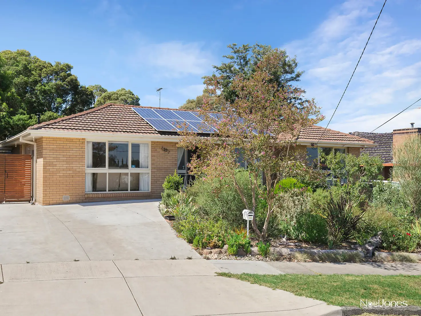 Main view of Homely house listing, 19 Cyprus Avenue, Nunawading VIC 3131