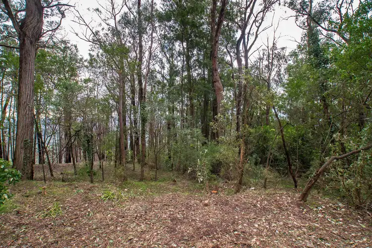 Second view of Homely house listing, 12 Scenic Crescent, Kalorama VIC 3766