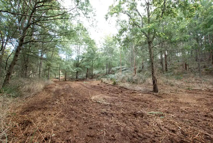 Second view of Homely land listing, 825 Gembrook - Launching Place Road, Hoddles Creek VIC 3139