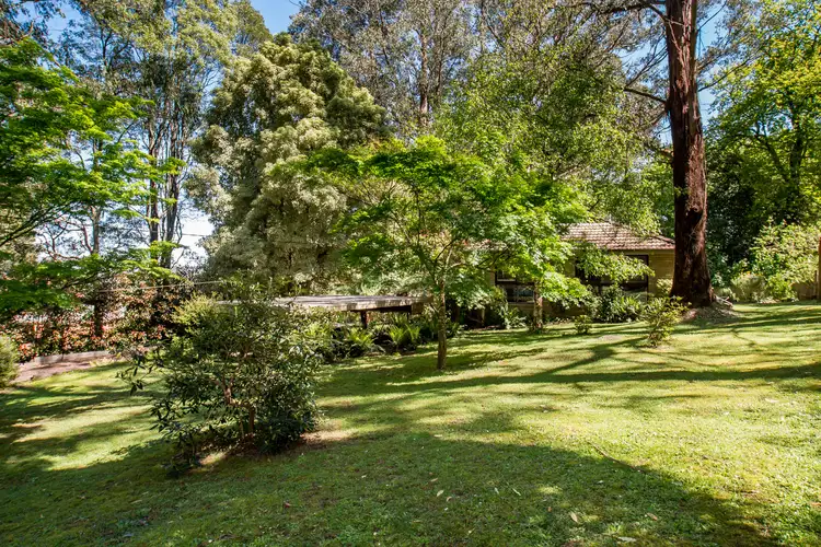 7 Mills Avenue, Sassafras VIC 3787