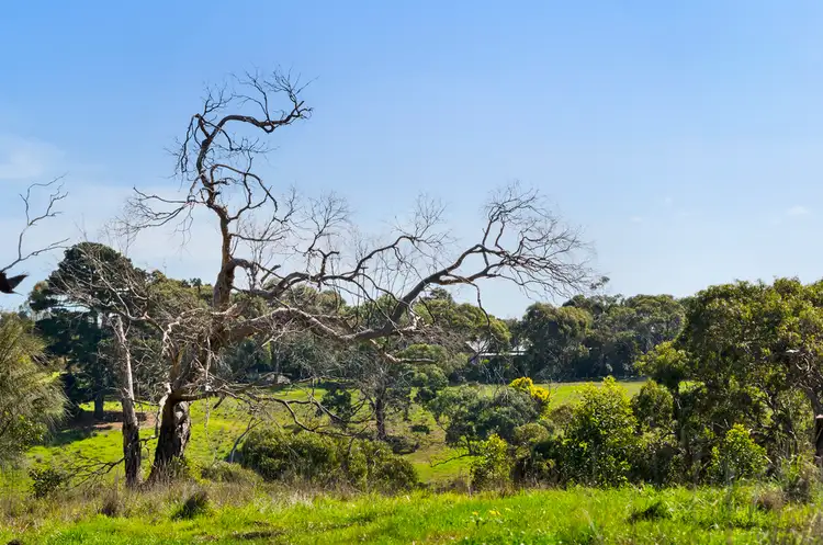 Sixth view of Homely land listing, Stage/5A Yellow Gums Estate, Ocean Grove VIC 3226