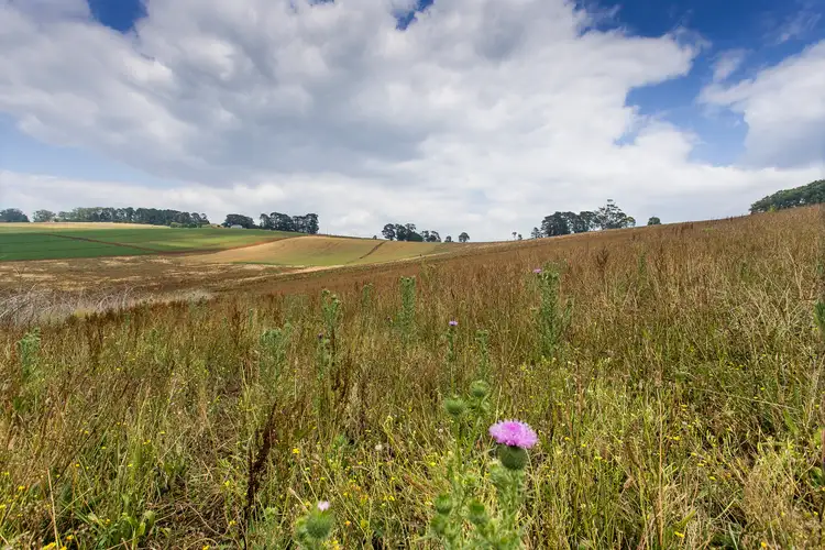 Fifth view of Homely land listing, 120 Ure Road, Gembrook VIC 3783