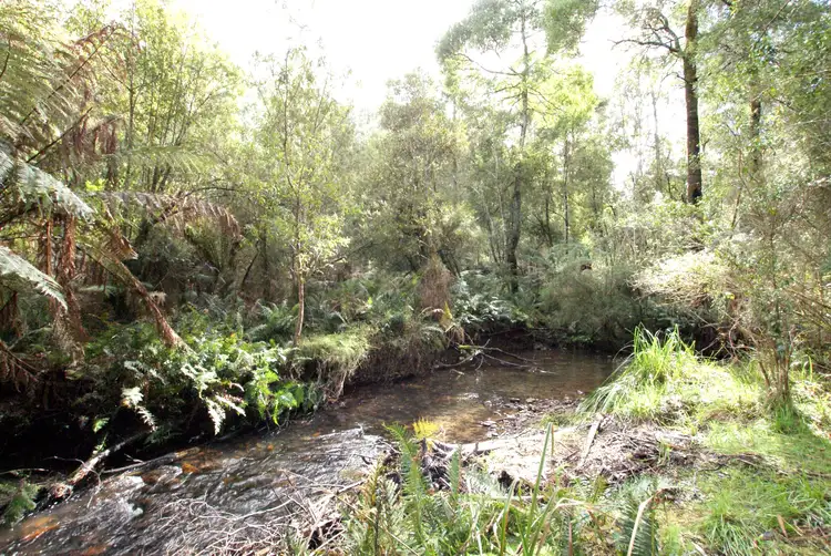 Third view of Homely house listing, 31 Fishermans Drive, McMahons Creek VIC 3799