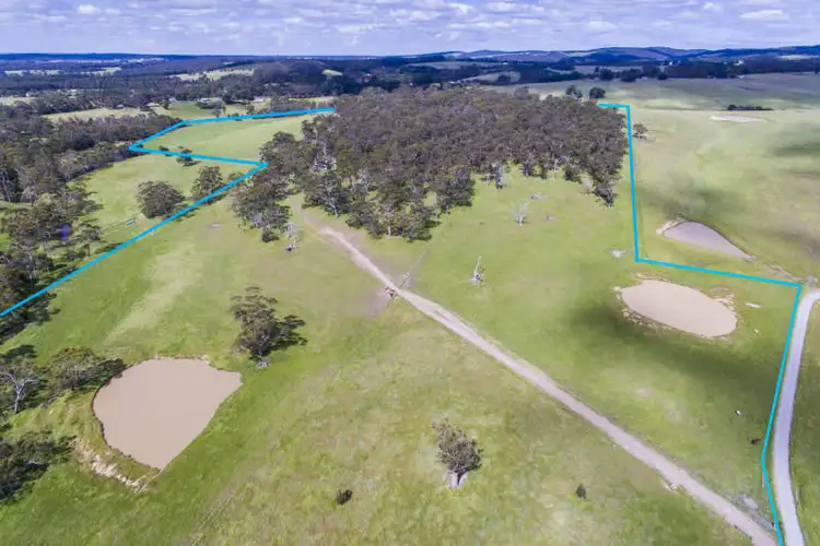 Second view of Homely rural property listing, 53 Smiths Lane, Deans Marsh VIC 3235