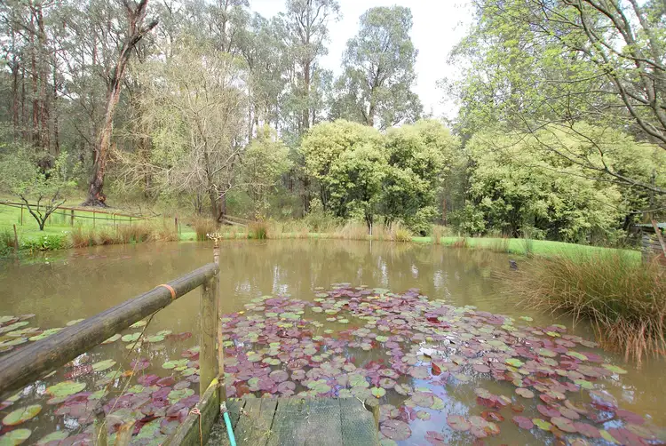 Second view of Homely house listing, 24 Fishermans Drive, Mcmahons Creek VIC 3799