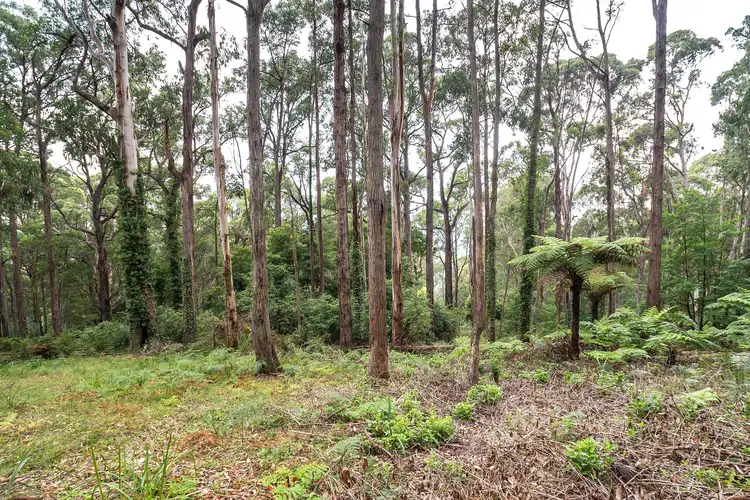 Fifth view of Homely land listing, 15 Olinda Creek Road, Kalorama VIC 3766