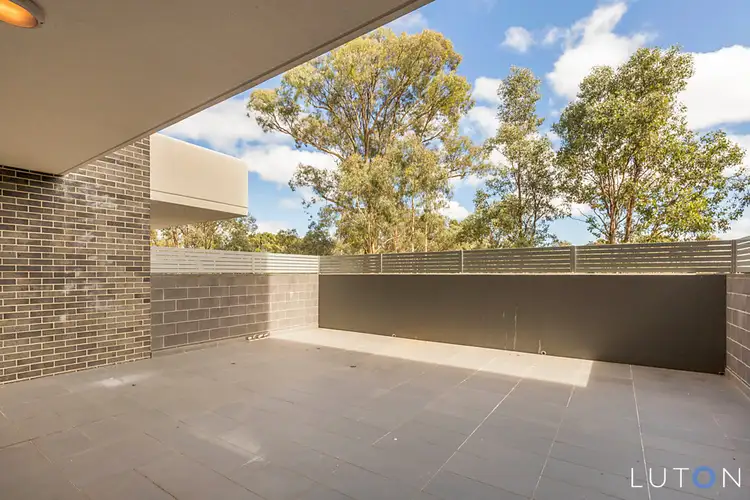 Fourth view of Homely apartment listing, 1/8 Baudinette Circuit, Bruce ACT 2617