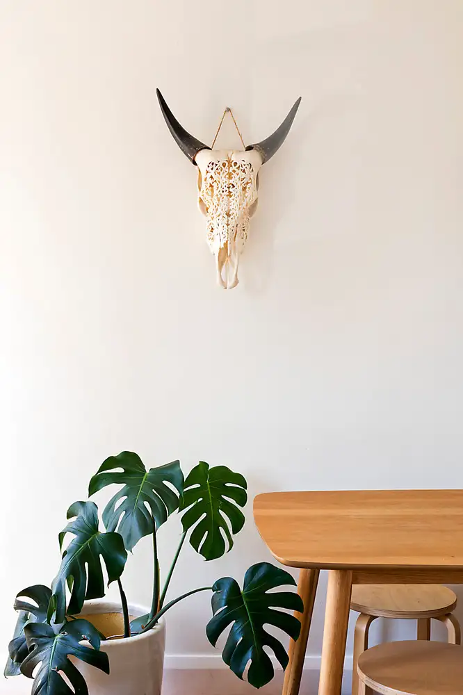 Fourth view of Homely apartment listing, 3/47 Queenscliff Road, Queenscliff NSW 2096