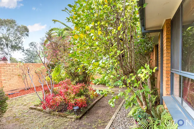Second view of Homely house listing, 16 Crockett Place, Holt ACT 2615