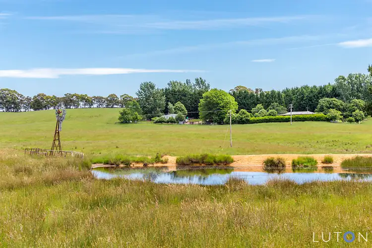 Fifth view of Homely rural property listing, 988 Charleys Forest Road, Braidwood NSW 2622