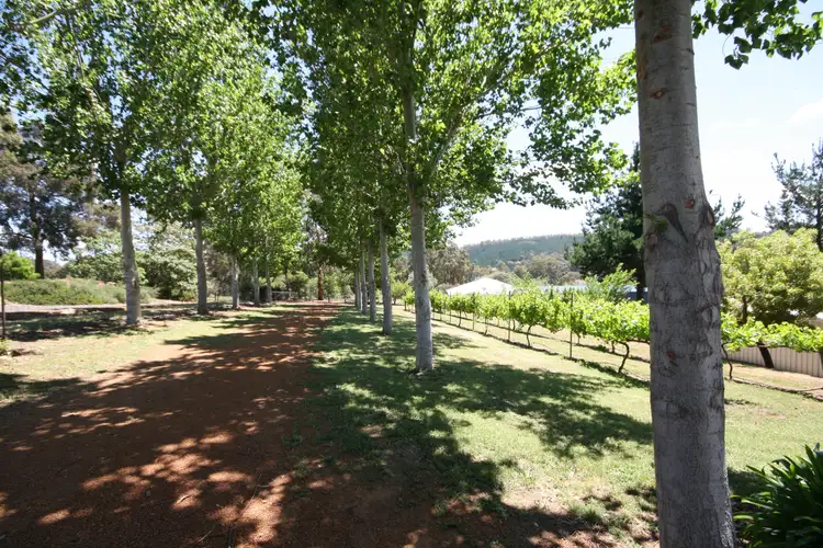 Fourth view of Homely house listing, 29 Japonica View, Wellington Mill WA 6236