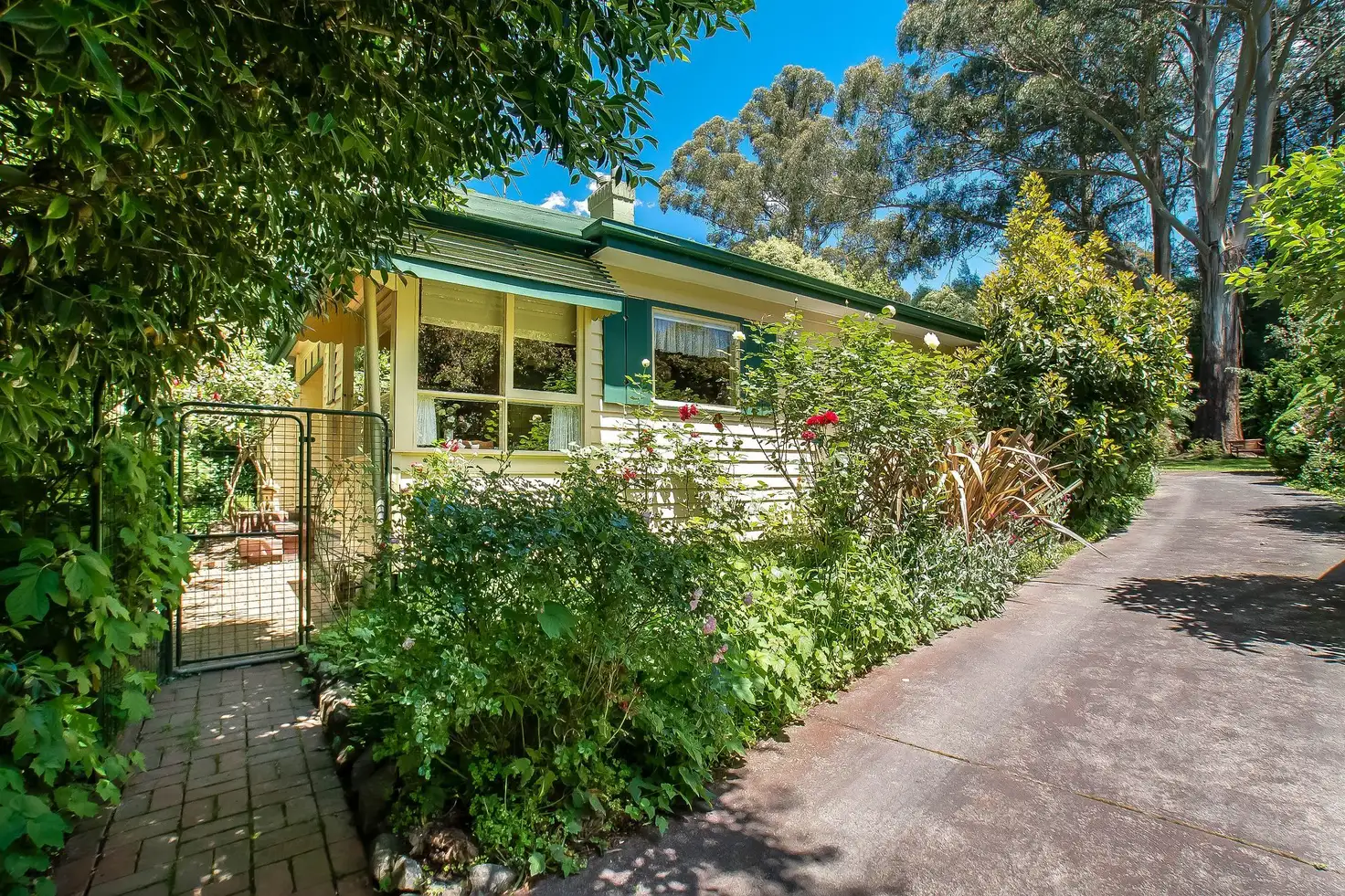 Main view of Homely house listing, 12 Summerlea Road, Mount Dandenong VIC 3767