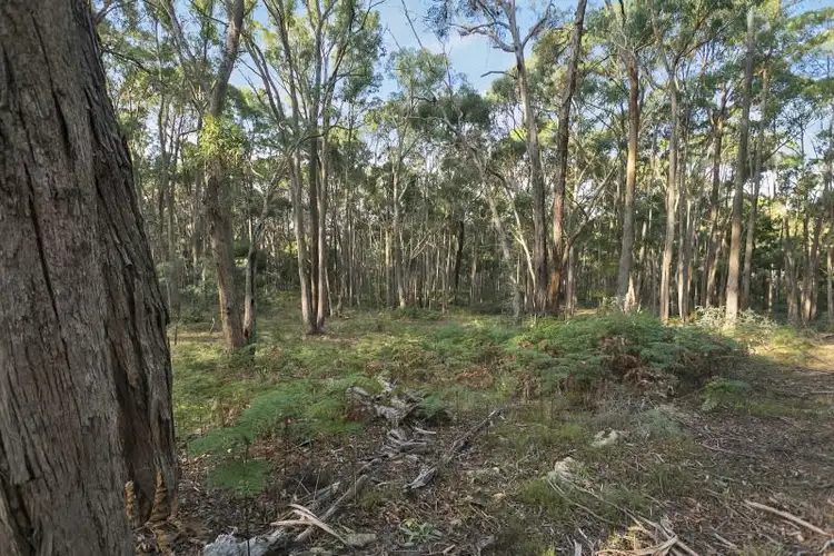 Second view of Homely land listing, Lot 49 Cemetery Road, Eganstown VIC 3461