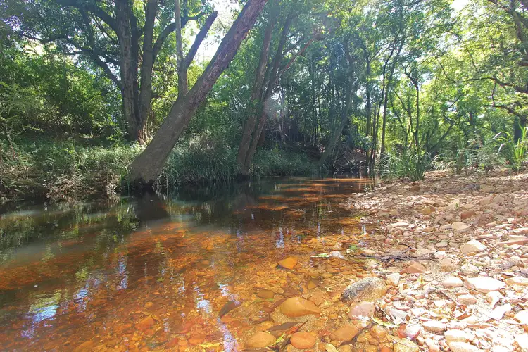 Second view of Homely rural property listing, 26 Cherry Tree Lane, Hannam Vale NSW 2443