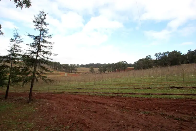 Fifth view of Homely land listing, 825 Gembrook - Launching Place Road, Hoddles Creek VIC 3139