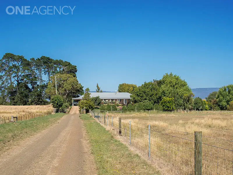 Main view of Homely house listing, 1521 Cressy Road, Cressy TAS 7302