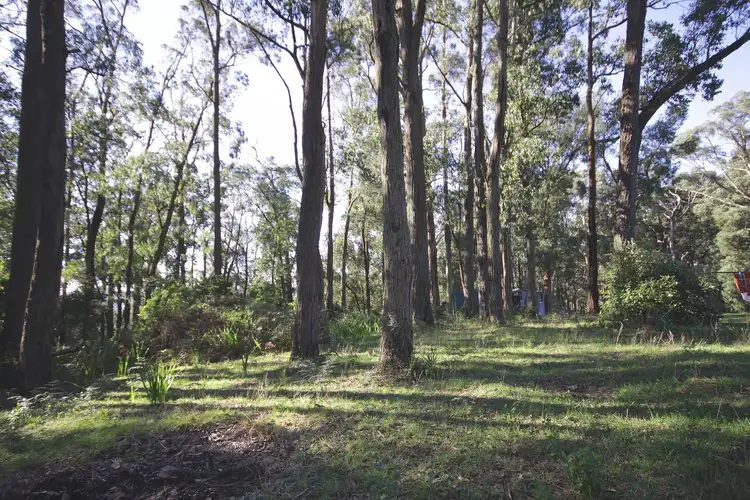 35 Seaview Road, Cockatoo VIC 3781