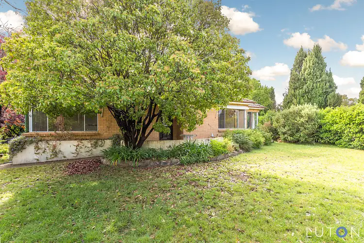 1/6 Cowper Street, Ainslie ACT 2602