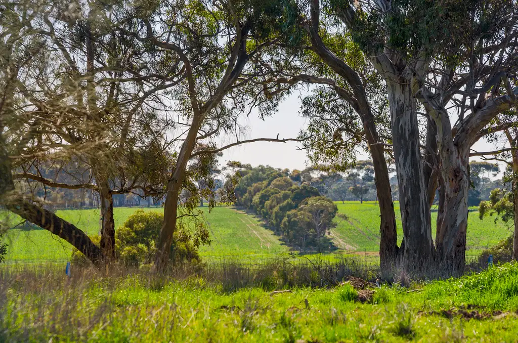 Main view of Homely land listing, Stage/5A Yellow Gums Estate, Ocean Grove VIC 3226