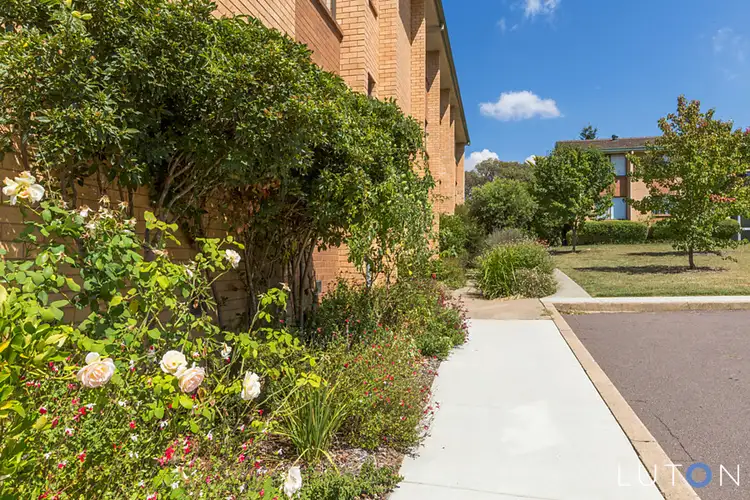 Second view of Homely apartment listing, 10/8-16 Walsh Place, Curtin ACT 2605