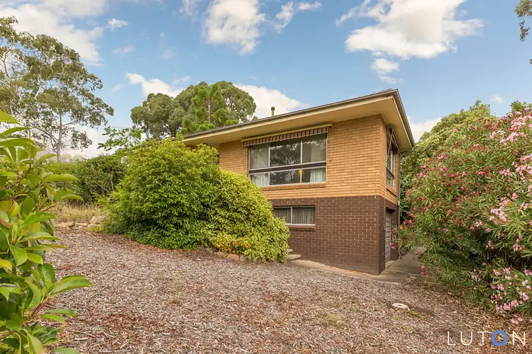 Main view of Homely house listing, 10 Kapunda Street, Fisher ACT 2611