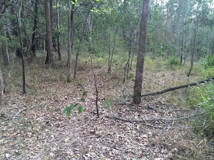 Second view of Homely rural property listing, Lot 45 Pacific Highway, New Italy NSW 2472