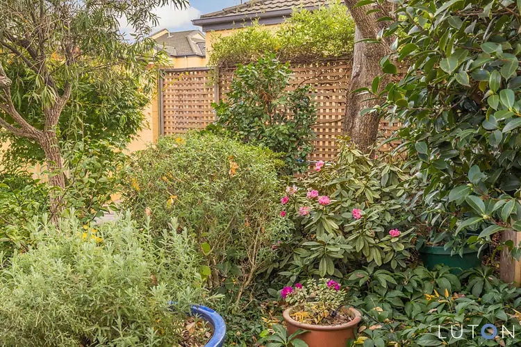 Sixth view of Homely townhouse listing, 16/3 Tauss Place, Bruce ACT 2617