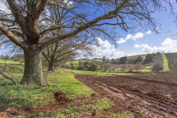 Third view of Homely rural property listing, 275 Mountain Road, Gembrook VIC 3783