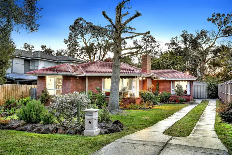 12 Hammond Street, Ringwood VIC 3134