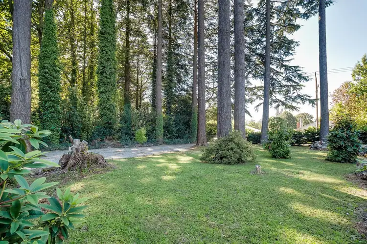 Fifth view of Homely house listing, 6 Olinda Crescent, Olinda VIC 3788