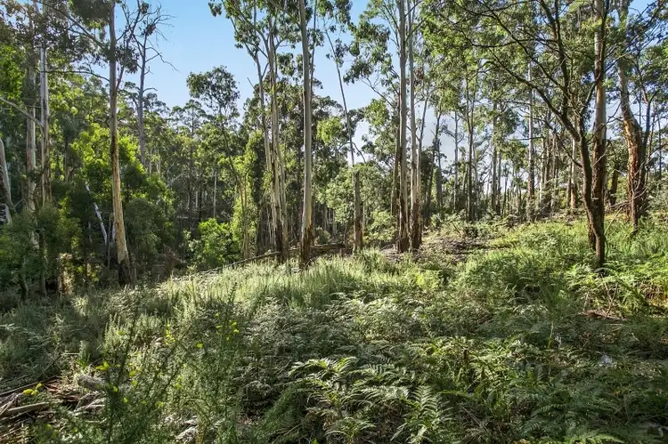 Third view of Homely land listing, 4260 Midland Highway, Daylesford VIC 3460