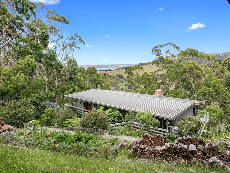91 Old Coach Road, Skenes Creek VIC 3233