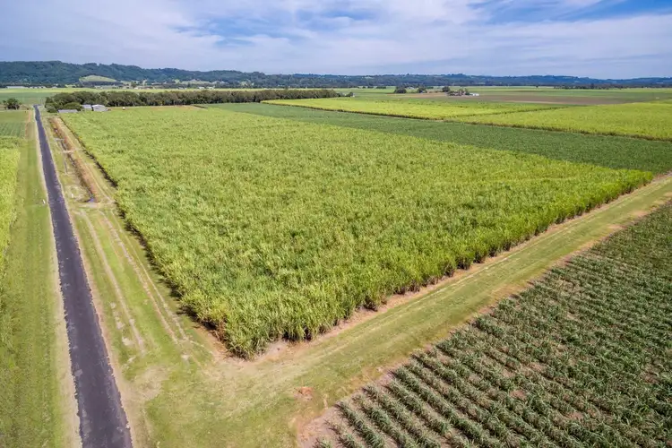 Seventh view of Homely rural property listing, Lot 21 Hermans Lane, Pimlico NSW 2478