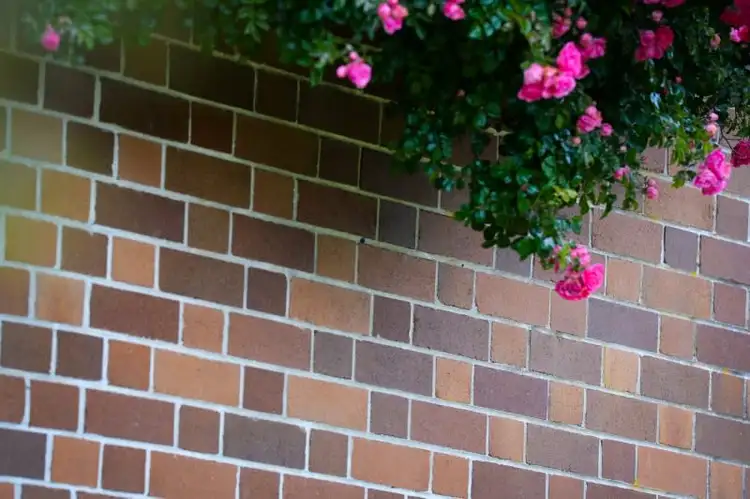 Fifth view of Homely house listing, 14 Victor Crescent, Robertson NSW 2577