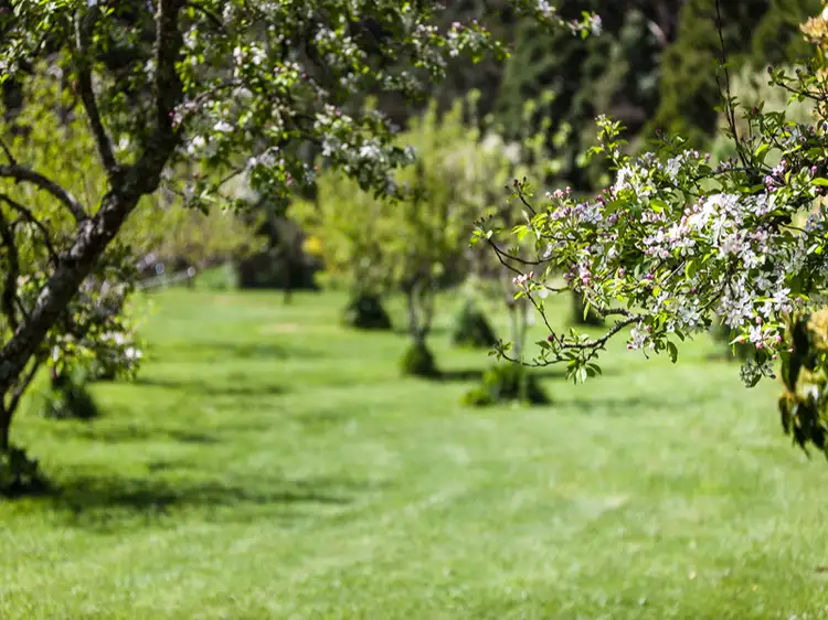 Fourth view of Homely rural property listing, 1145 Barham River Road, Apollo Bay VIC 3233
