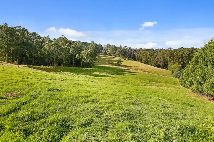Fourth view of Homely house listing, 40 Sherriff Close, Millgrove VIC 3799